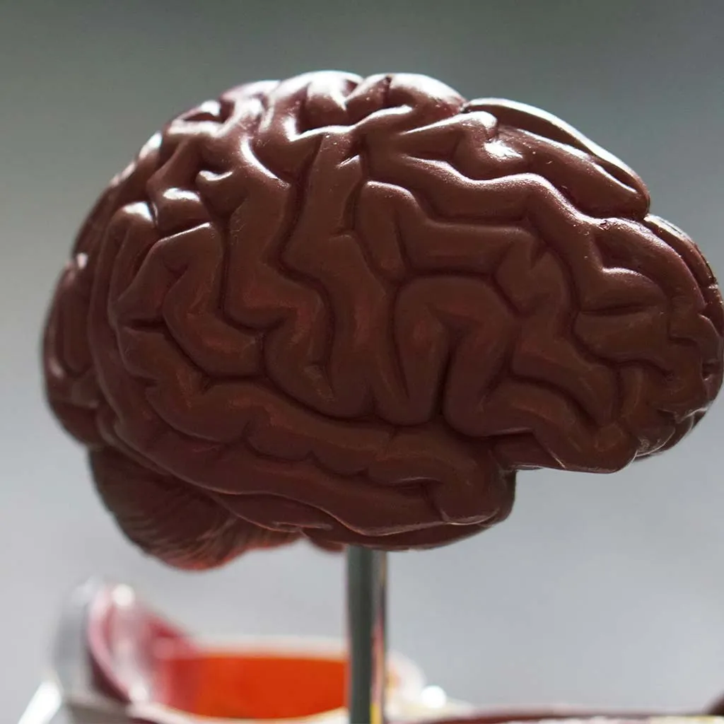Living well at home with dementia